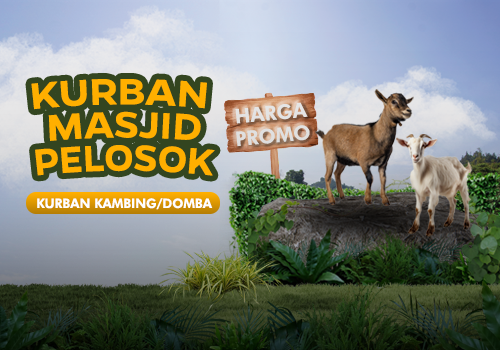 Kurban Kambing Hemat