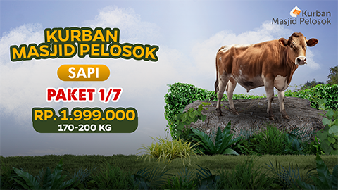 Kurban 1/7 Sapi