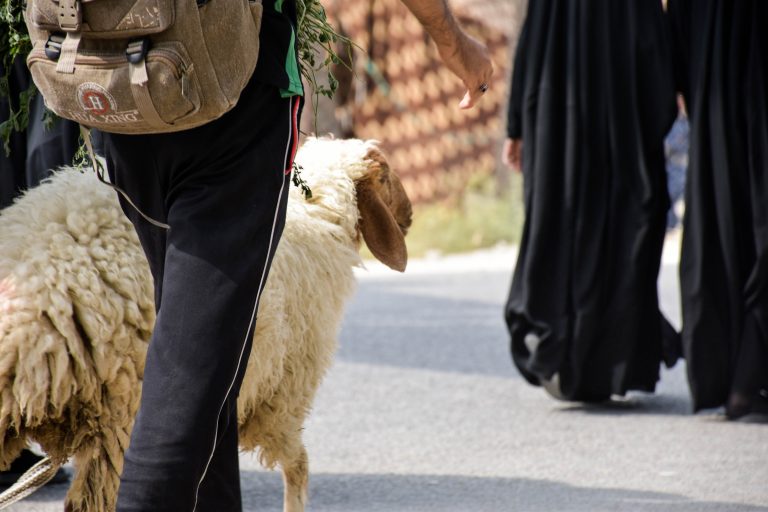 Keutamaan Kurban, Saksi Amal hingga Pembeda Muslim dan Kafir