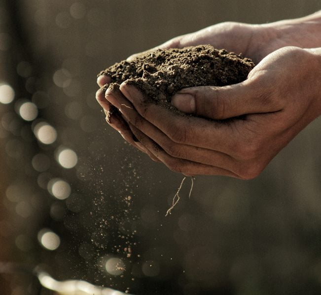 Dari Tanah dan Akan Kembali ke Tanah