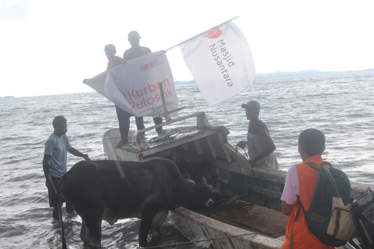 Masjid Nusantara_Kurban Pelosok_Dedeta Maluku_Sapi Terjun ke Laut